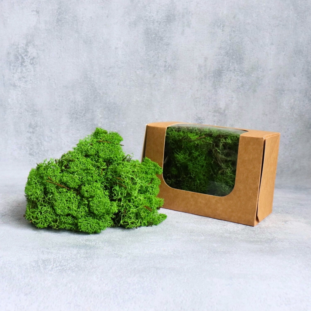 Stabilizovaný Moss Reindeer – trávově zelený, přírodní dekorace do aranžmá